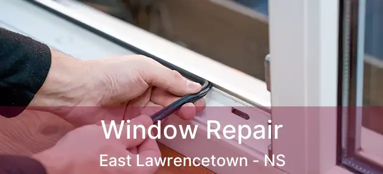  Window Repair East Lawrencetown - NS