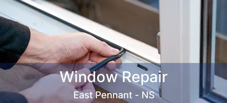  Window Repair East Pennant - NS