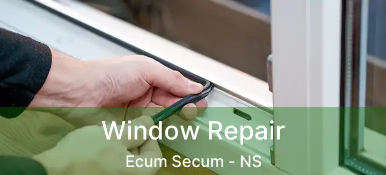  Window Repair Ecum Secum - NS