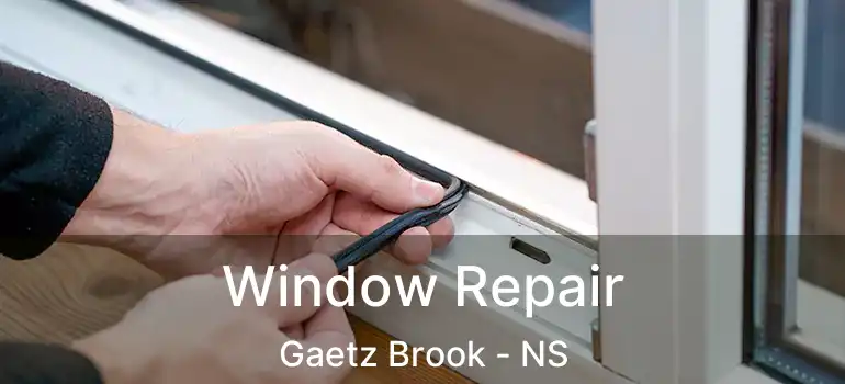  Window Repair Gaetz Brook - NS