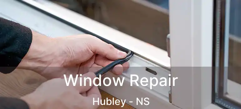  Window Repair Hubley - NS