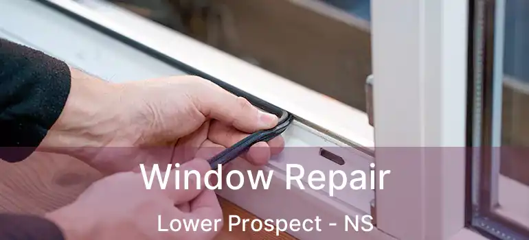  Window Repair Lower Prospect - NS