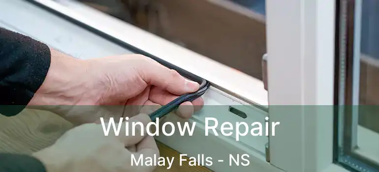  Window Repair Malay Falls - NS