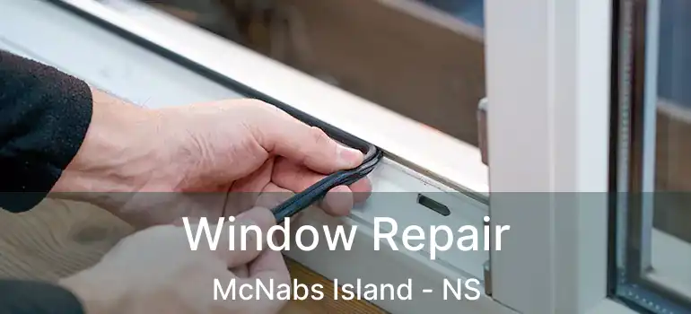  Window Repair McNabs Island - NS