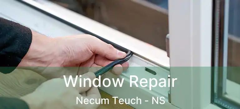  Window Repair Necum Teuch - NS