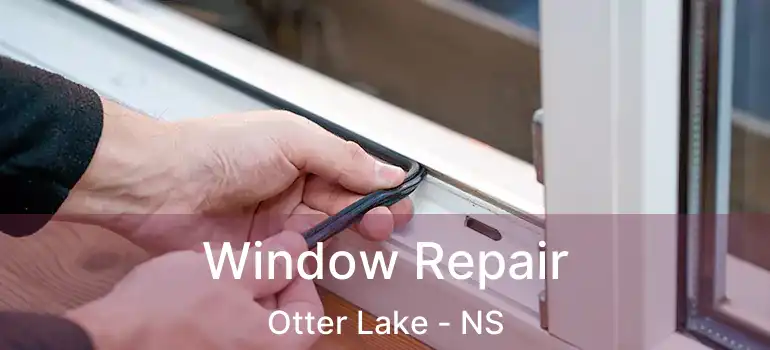  Window Repair Otter Lake - NS