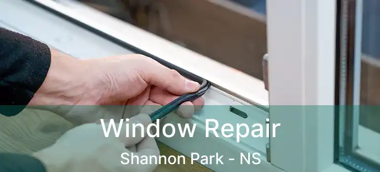  Window Repair Shannon Park - NS