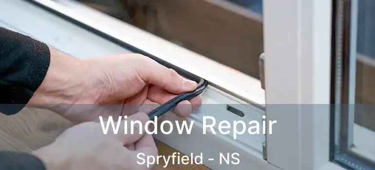  Window Repair Spryfield - NS