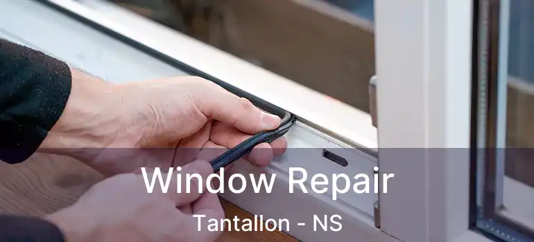  Window Repair Tantallon - NS