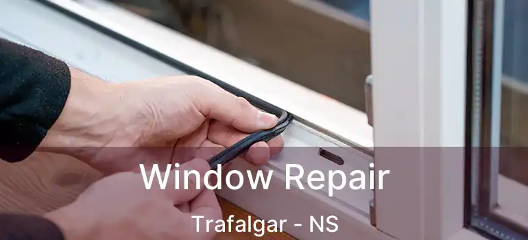  Window Repair Trafalgar - NS