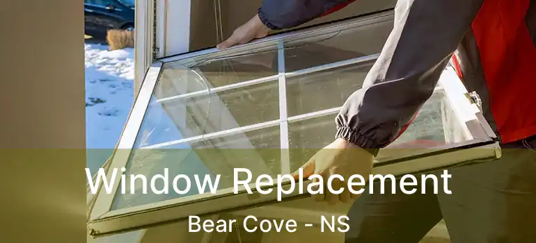  Window Replacement Bear Cove - NS