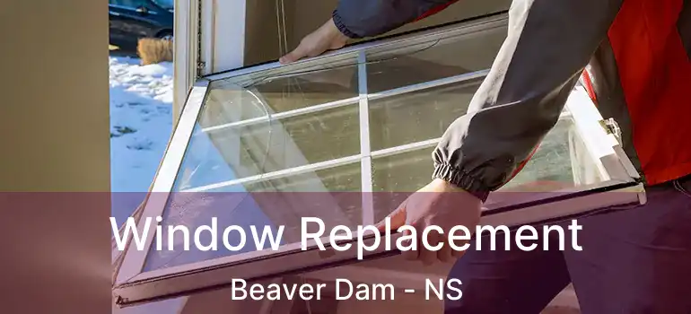  Window Replacement Beaver Dam - NS