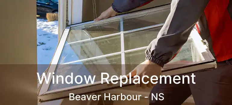  Window Replacement Beaver Harbour - NS