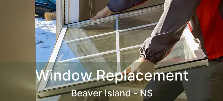  Window Replacement Beaver Island - NS