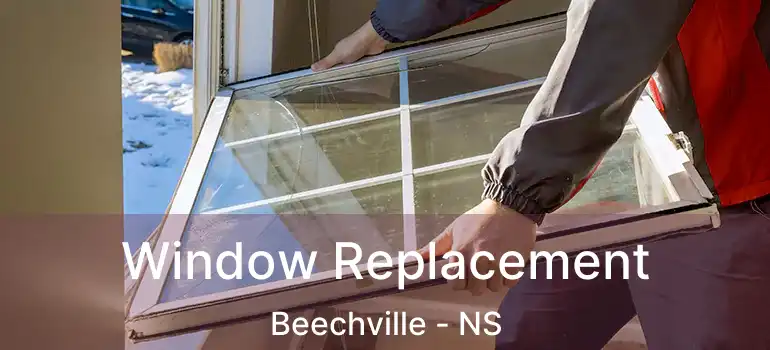  Window Replacement Beechville - NS