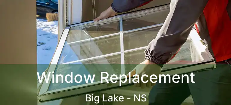  Window Replacement Big Lake - NS