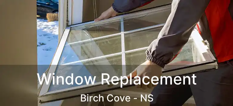  Window Replacement Birch Cove - NS