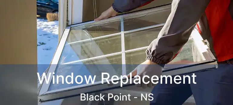  Window Replacement Black Point - NS