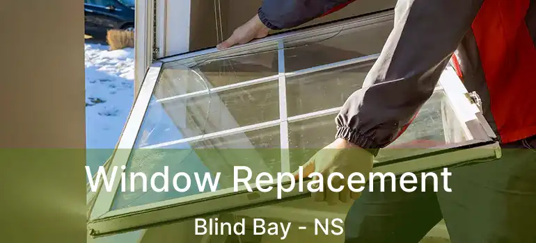  Window Replacement Blind Bay - NS