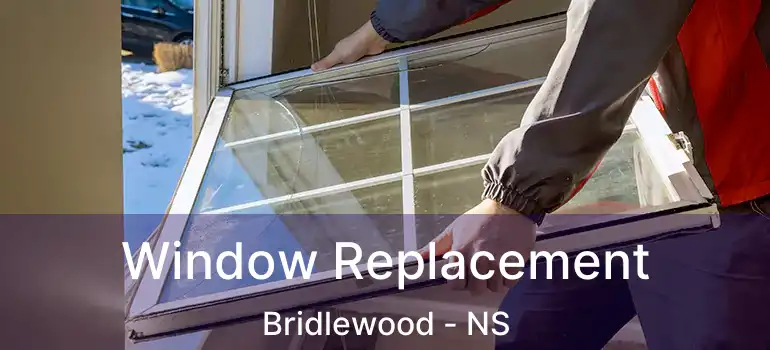  Window Replacement Bridlewood - NS