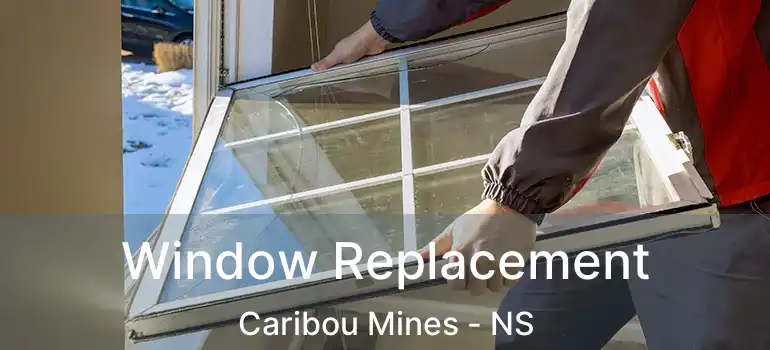  Window Replacement Caribou Mines - NS