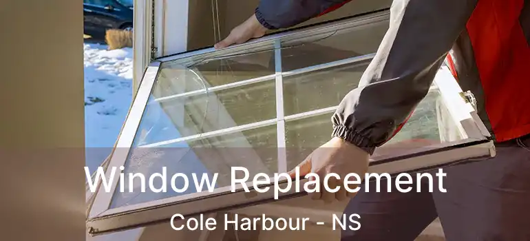  Window Replacement Cole Harbour - NS