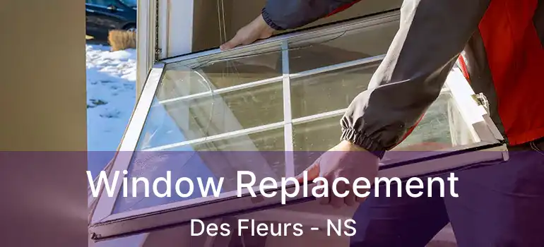  Window Replacement Des Fleurs - NS