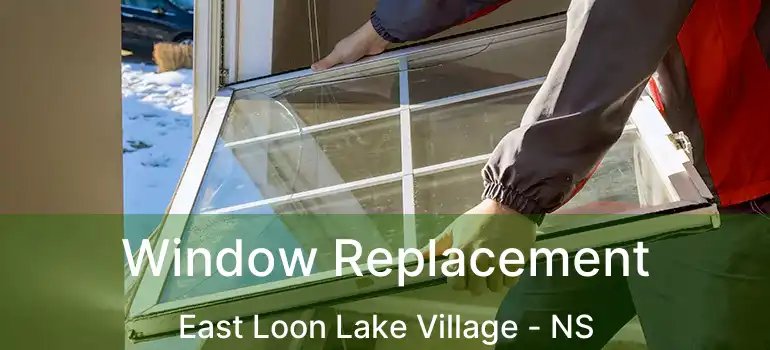  Window Replacement East Loon Lake Village - NS