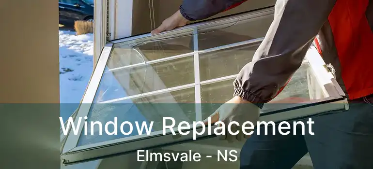  Window Replacement Elmsvale - NS