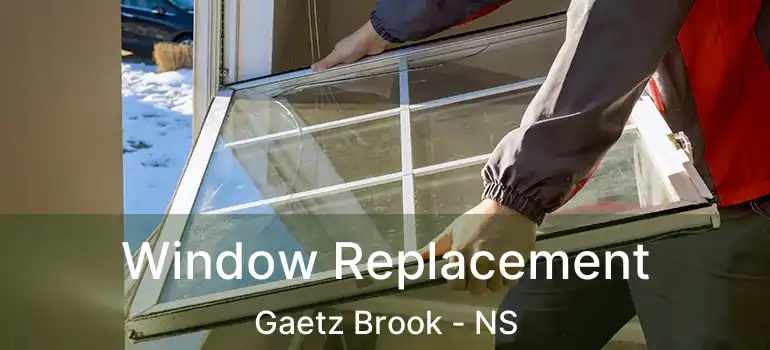  Window Replacement Gaetz Brook - NS