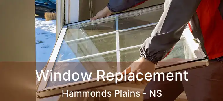  Window Replacement Hammonds Plains - NS