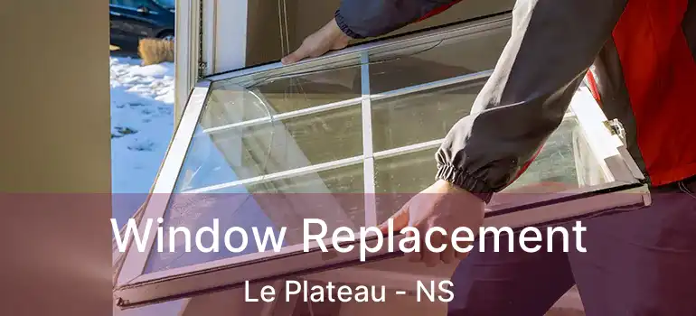  Window Replacement Le Plateau - NS