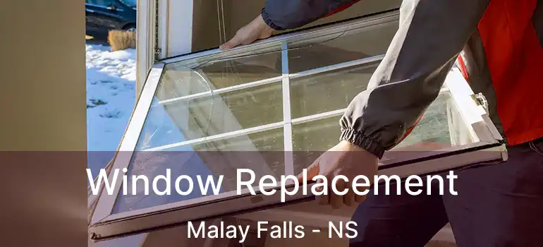  Window Replacement Malay Falls - NS