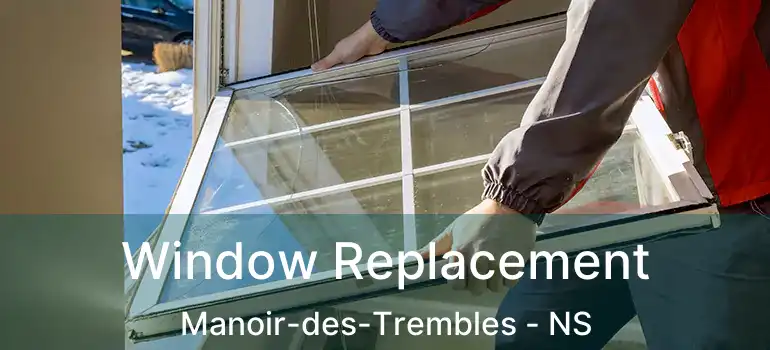  Window Replacement Manoir-des-Trembles - NS