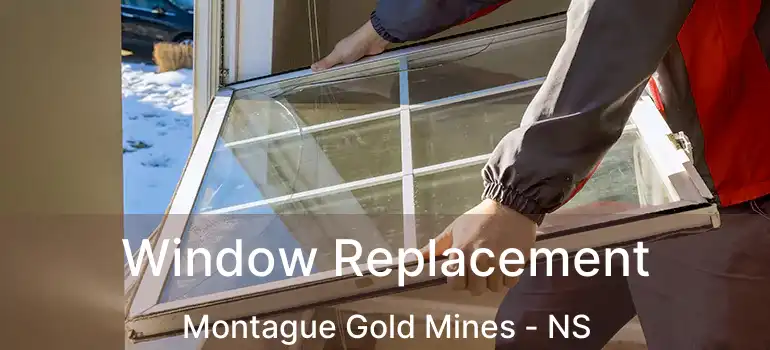  Window Replacement Montague Gold Mines - NS