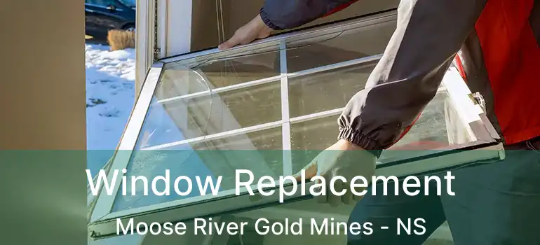  Window Replacement Moose River Gold Mines - NS