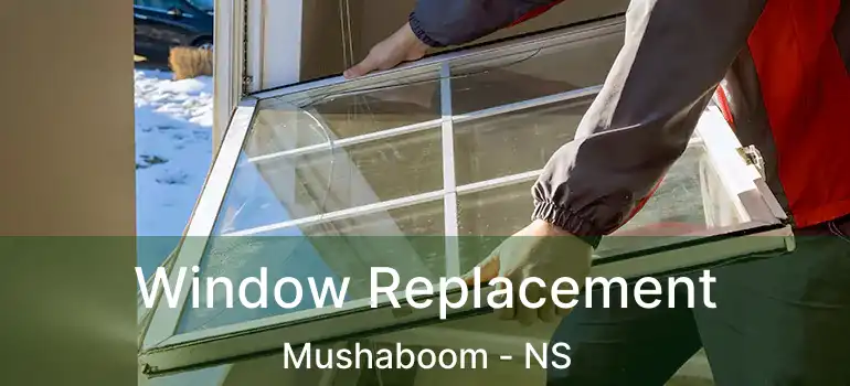  Window Replacement Mushaboom - NS