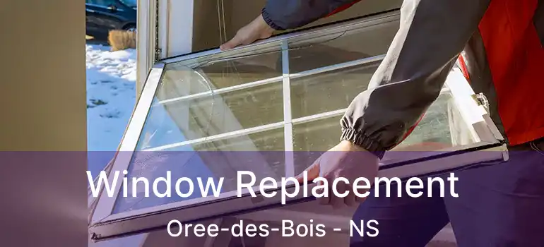  Window Replacement Oree-des-Bois - NS