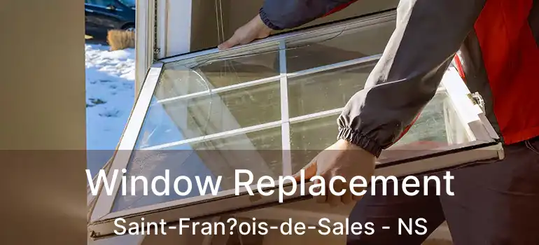  Window Replacement Saint-Fran?ois-de-Sales - NS