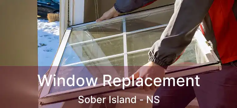  Window Replacement Sober Island - NS