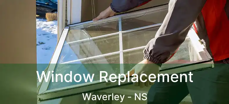  Window Replacement Waverley - NS