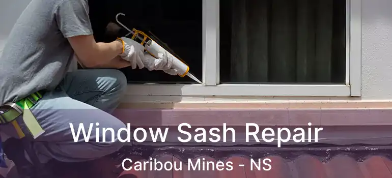  Window Sash Repair Caribou Mines - NS