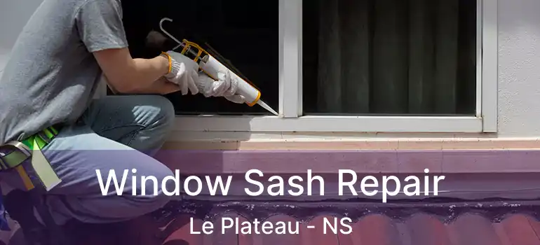  Window Sash Repair Le Plateau - NS