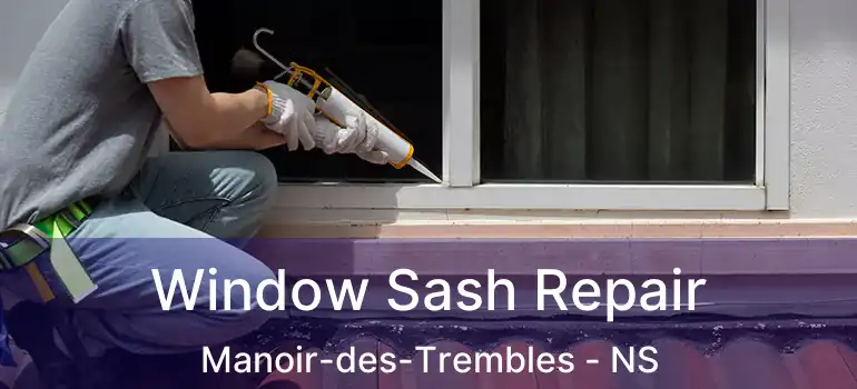  Window Sash Repair Manoir-des-Trembles - NS