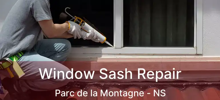  Window Sash Repair Parc de la Montagne - NS