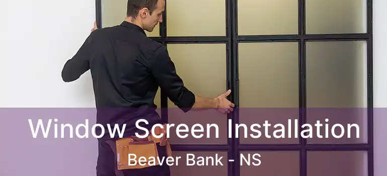  Window Screen Installation Beaver Bank - NS