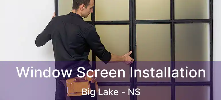  Window Screen Installation Big Lake - NS