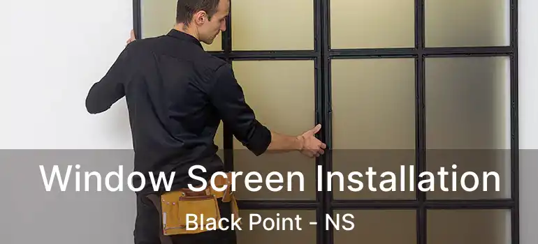  Window Screen Installation Black Point - NS