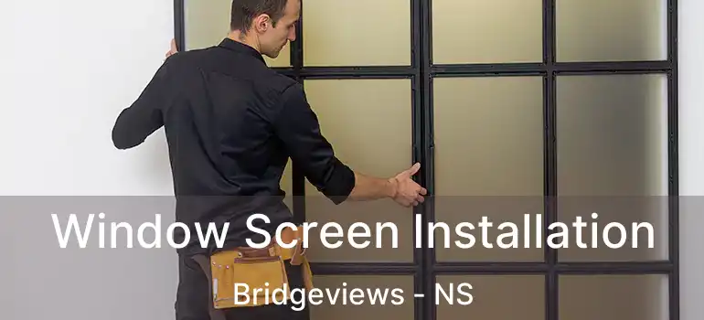  Window Screen Installation Bridgeviews - NS