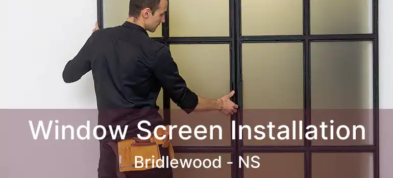  Window Screen Installation Bridlewood - NS